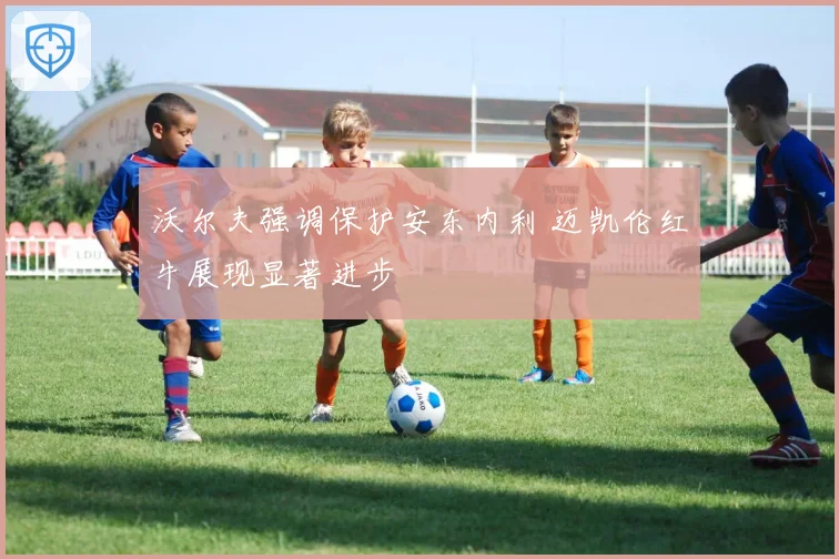 沃尔夫强调保护安东内利 迈凯伦红牛展现显著进步